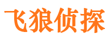 剑阁市侦探公司